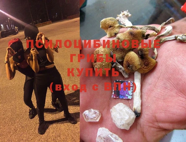 альфа пвп Беломорск