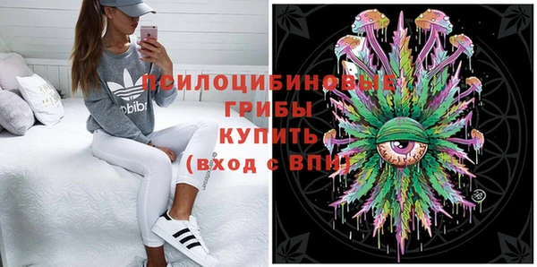 ECSTASY Приозерск