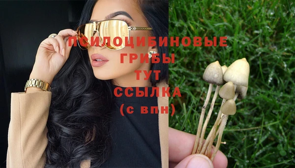 PSILOCYBIN Покровск
