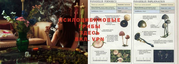 apvp Белоозёрский